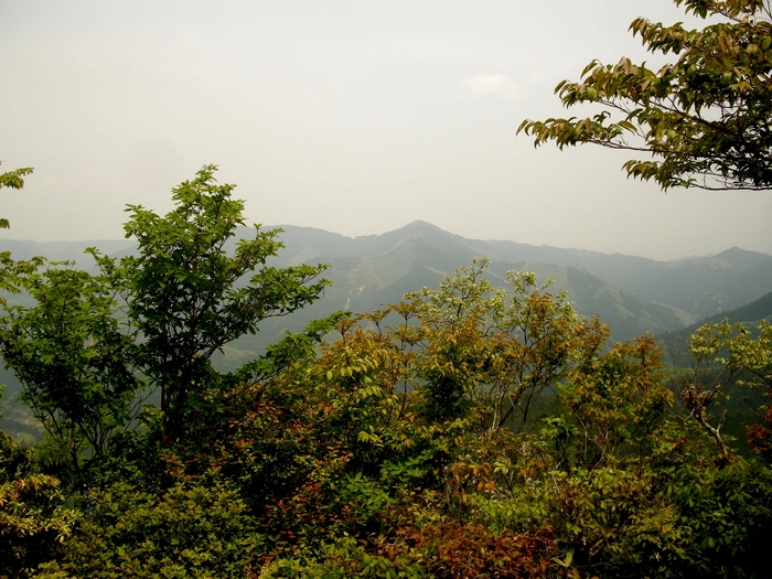 b0185573_14322364.jpg