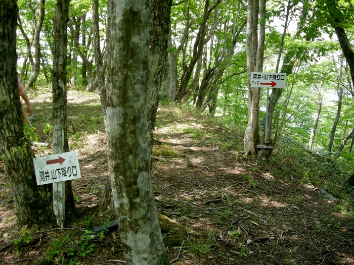 b0185573_1464015.jpg