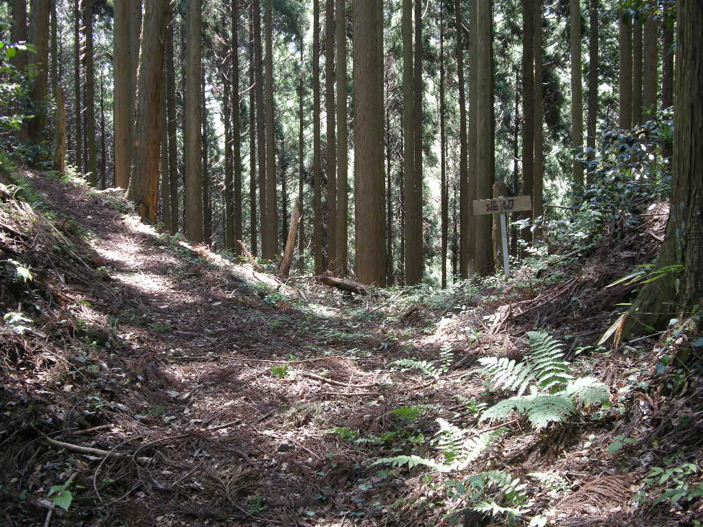 Ｎo219 岡山・津山市の矢筈山_b0185573_852340.jpg