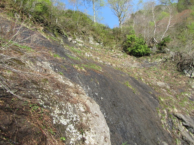 5月26日（土）　高妻山 ♪_a0191674_1346383.jpg