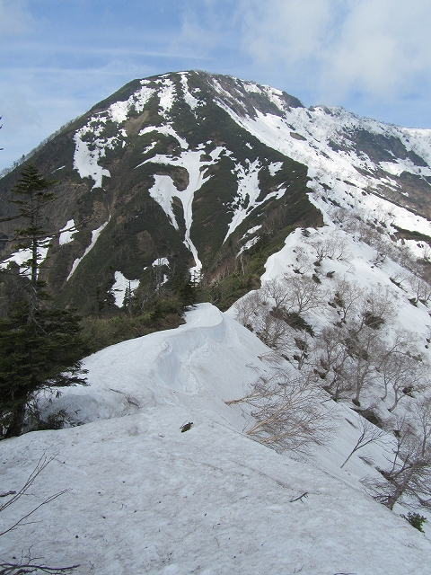 5月26日（土）　高妻山 ♪_a0191674_135006.jpg