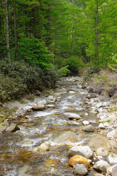 2012年5月31日　雁坂峠～水晶山～古礼山～燕山～雁峠　　日帰り単独縦走　_f0238475_1175544.jpg