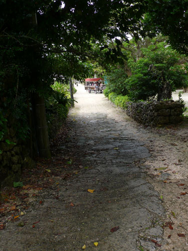 竹富島の道_a0166284_16254666.jpg