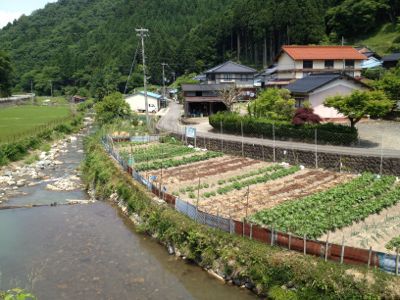 e0188897_201268.jpg