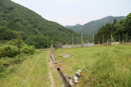 e0188897_20193739.jpg