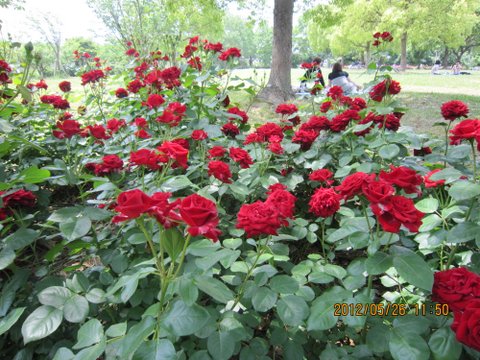 b0193798_20335917.jpg