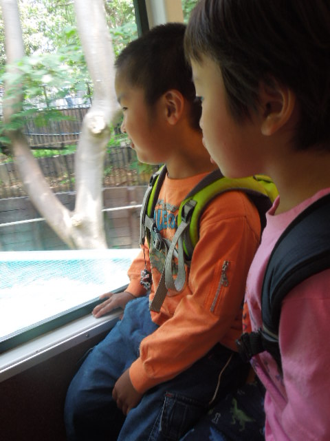 d0227298_232382.jpg