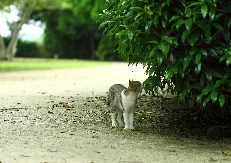 公園に行って見たよ！_e0256199_23291755.jpg