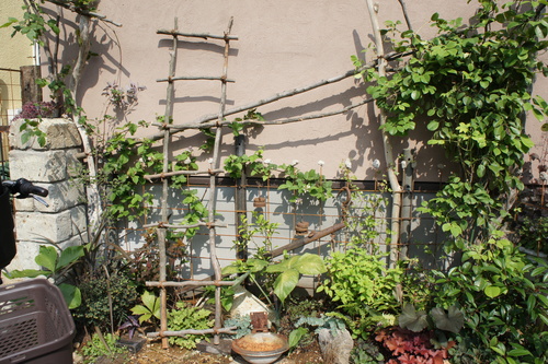 c0227800_7401277.jpg