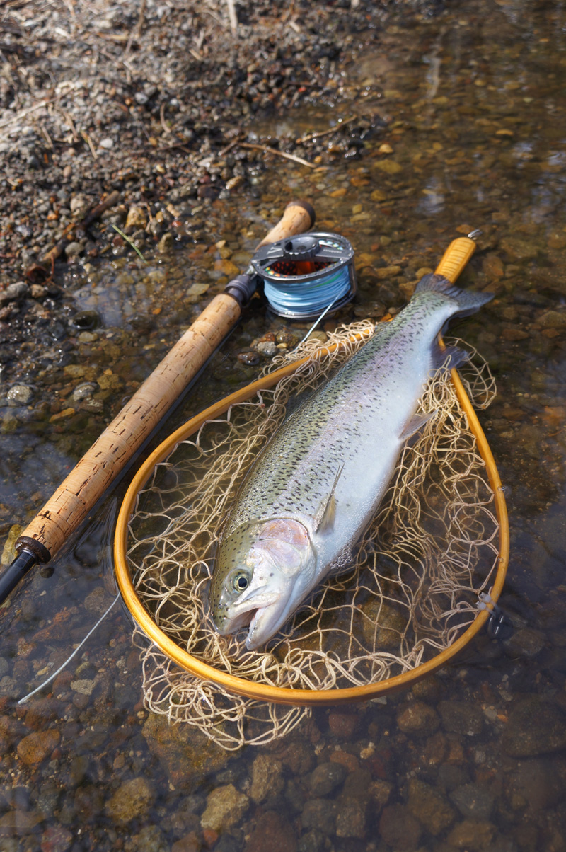 湯ノ湖でガッ釣り_c0095801_1049129.jpg