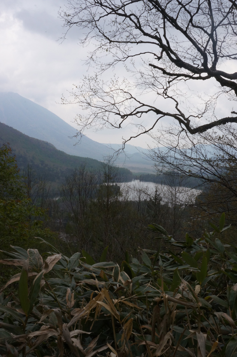 湯ノ湖でガッ釣り_c0095801_10492535.jpg