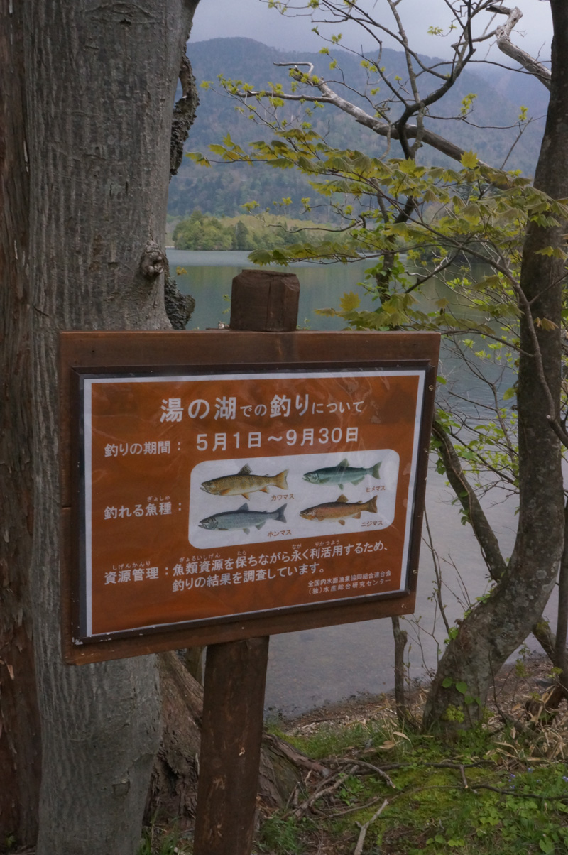 湯ノ湖でガッ釣り_c0095801_10493931.jpg