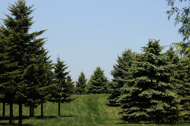 c0155902_20351340.jpg