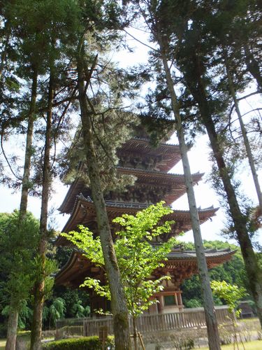 醍醐寺「五重塔」13mもの相輪が聳える安定感のある塔 : 夢違い