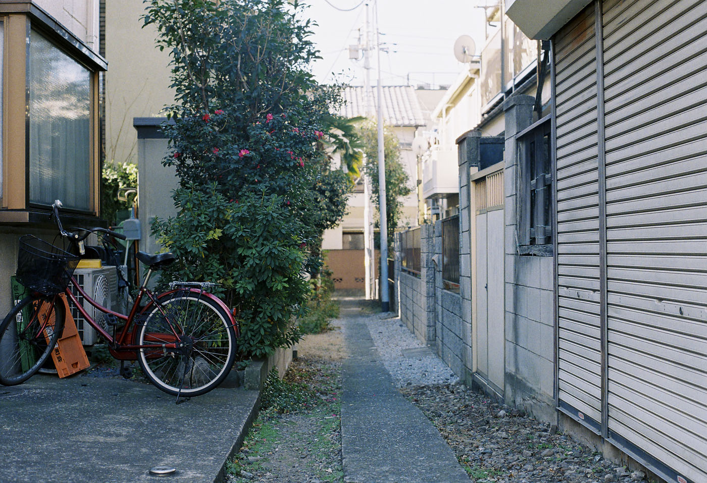 c0120903_236431.jpg