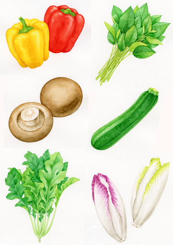 新顔野菜のイラスト イラストレーター 川副美紀 Miki Kawazoe Illustrations Watercolor Colored Pencil 新顔野菜のイラスト イラストレーター 川副美紀 Miki Kawazoe Illustrations Watercolor Colored Pencil