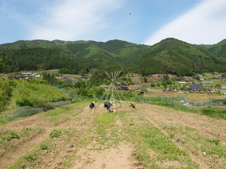 f0135908_6564268.jpg
