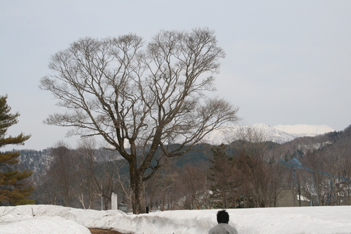 d0119909_18493213.jpg