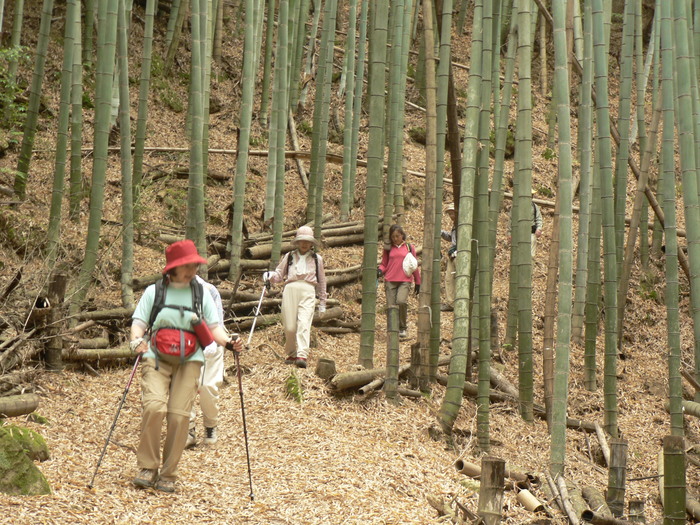 裏山から三滝へ_f0219710_7403069.jpg