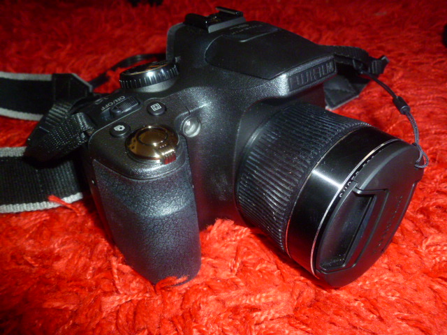 a0144811_726367.jpg
