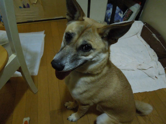 f0218911_2562121.jpg