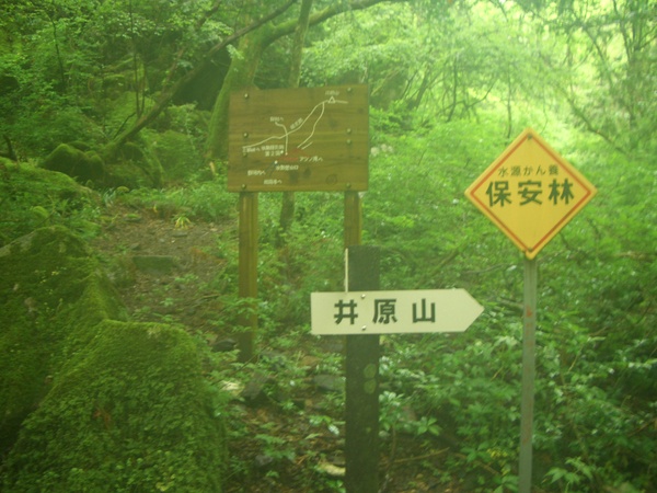 d0198313_7194797.jpg