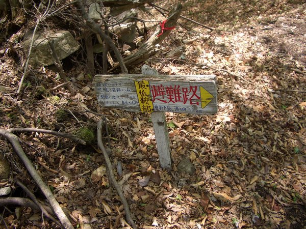 d0198313_8493940.jpg