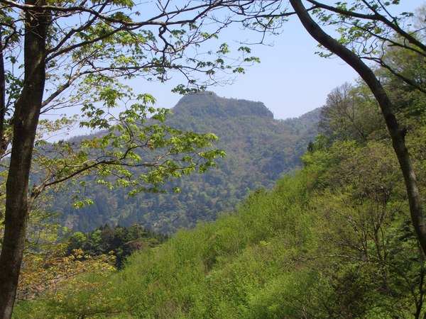 d0198313_912165.jpg