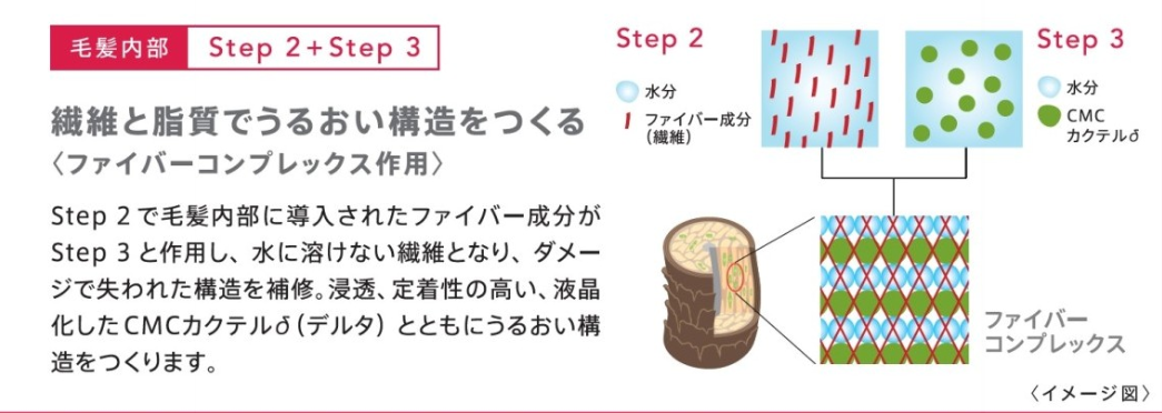 new!! トリートメントシステム パート7_c0222817_1231465.png