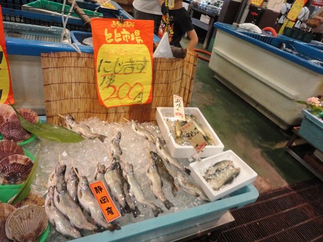 6月3日 快晴!! Go to とと市場、始まり、始まり_a0110720_22433347.jpg