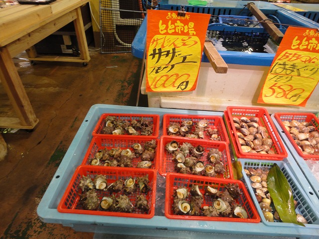 6月3日 快晴!! Go to とと市場、始まり、始まり_a0110720_22434199.jpg