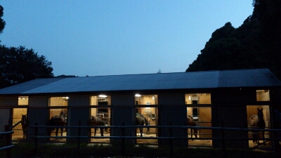 b0187620_20241498.jpg