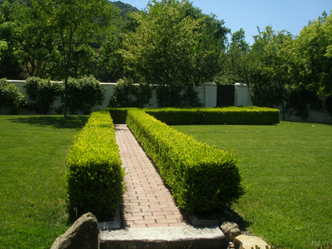 a0097322_801515.jpg