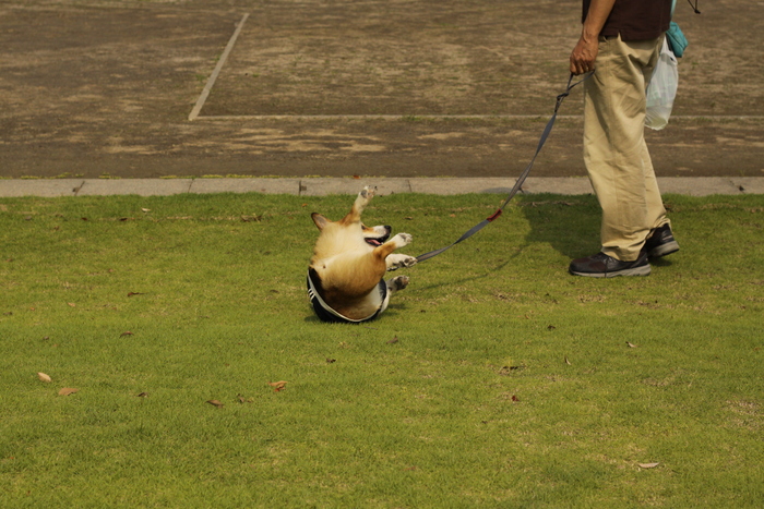 平成の森公園へ_e0071225_23491799.jpg