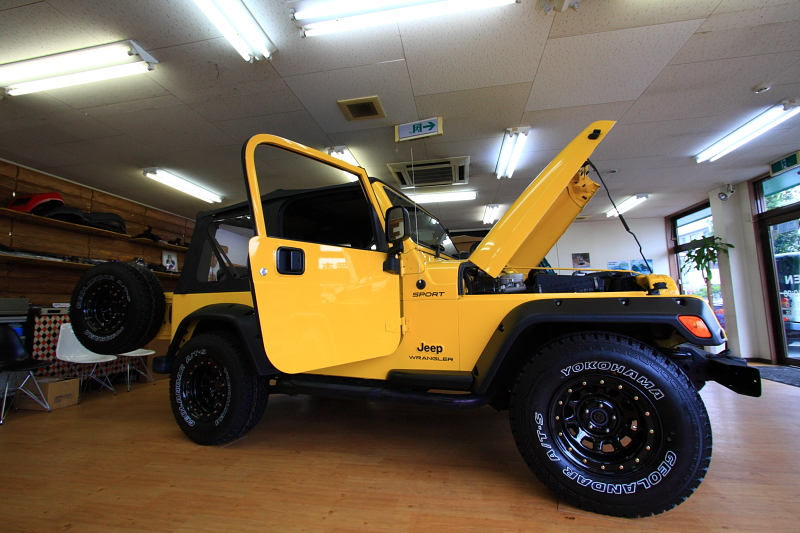 04TJ ソーラーイエロー 展示開始しました_f0105425_18522791.jpg
