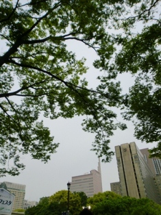 d0130927_2121027.jpg
