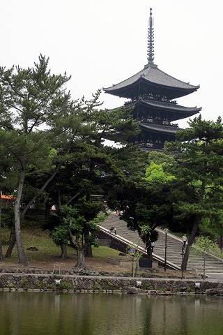 奈良_c0077531_2332393.jpg