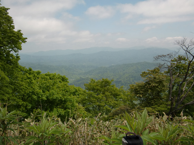a0248232_20132211.jpg