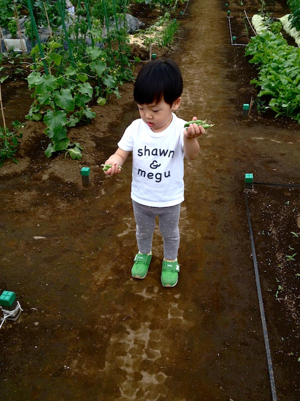 sm T-shirt_b0172633_12384049.jpg