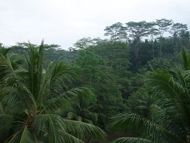 d0240534_13495112.jpg