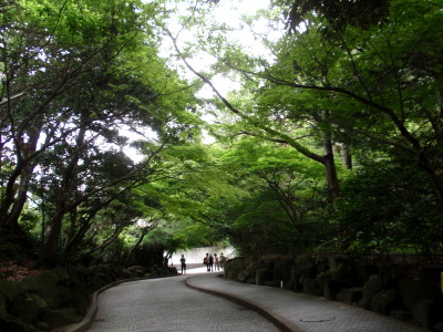 c0097838_0475061.jpg