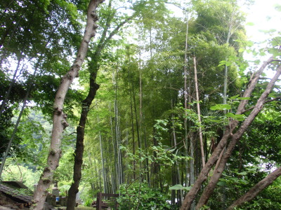 c0097838_085032.jpg