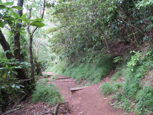 e0259738_831063.jpg