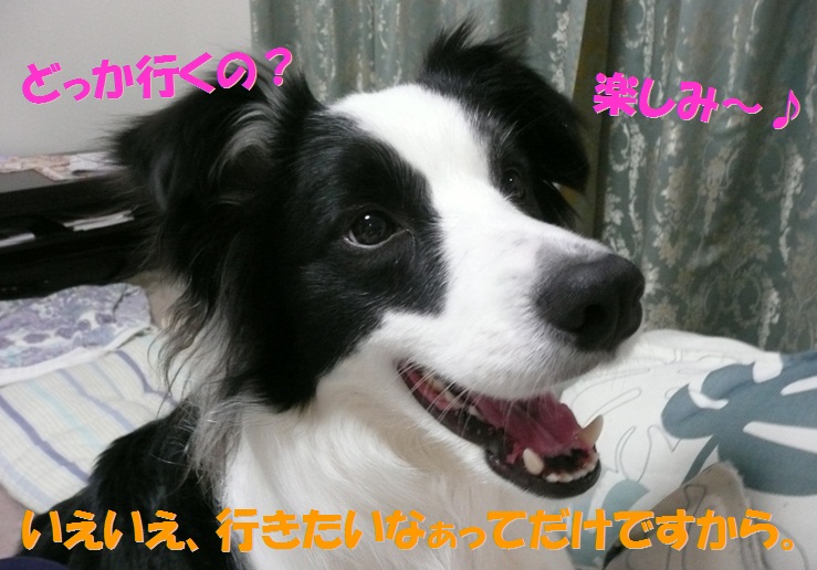 c0147241_2034174.jpg