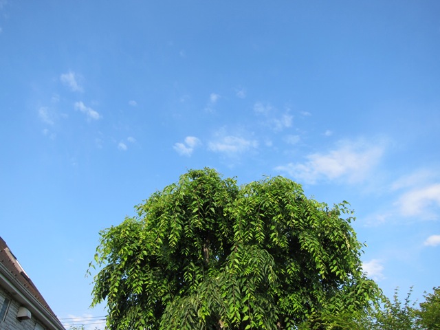 b0167343_010391.jpg