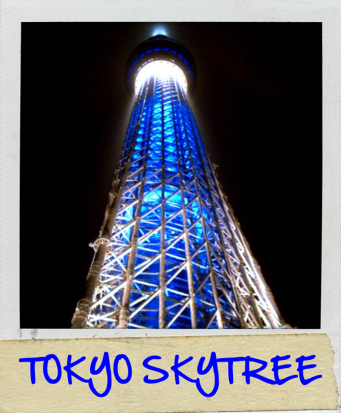 e0011143_177680.png
