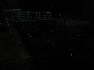f0115851_14304820.jpg