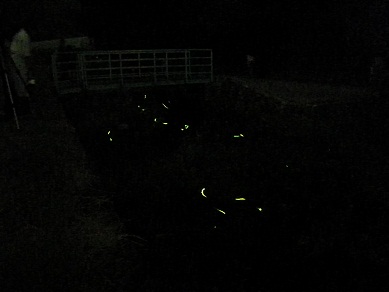 f0115851_1431040.jpg