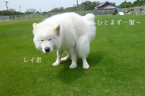 a0166954_1712835.jpg