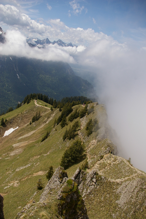b0175255_18392524.jpg